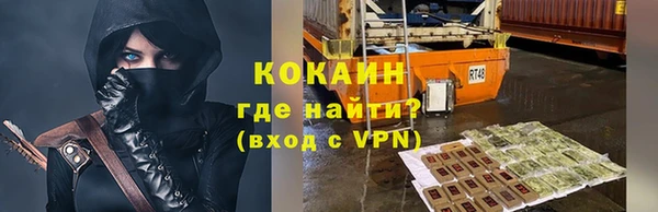 твердый Михайлов