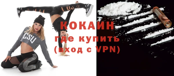 твердый Михайлов