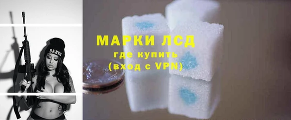 твердый Михайлов