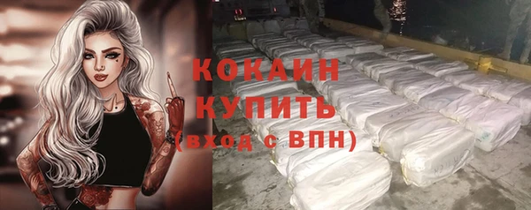 твердый Михайлов