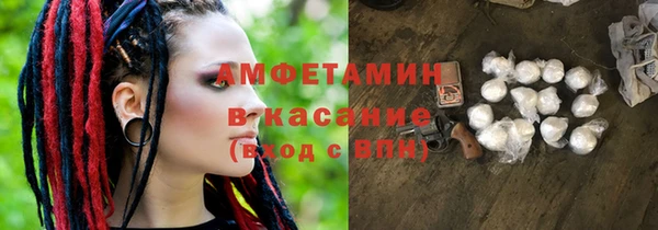 твердый Михайлов