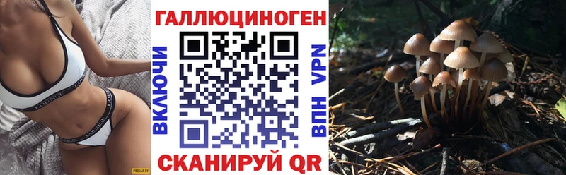 как найти наркотики  Ельня  Галлюциногенные грибы Psilocybine cubensis 
